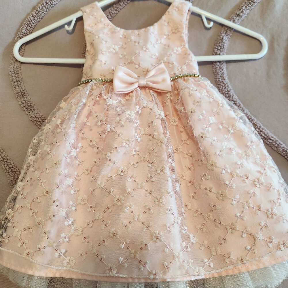 Pink Children American Princess dress size 24 months